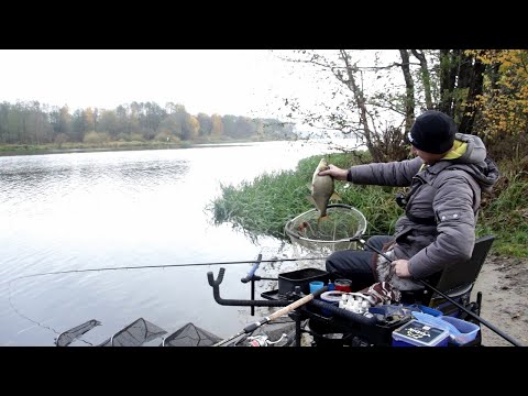 Видео: РЫБАЛКА на ФИДЕР осенью 2022! Где искать Леща! ФИДЕРНЫЙ МОНТАЖ.