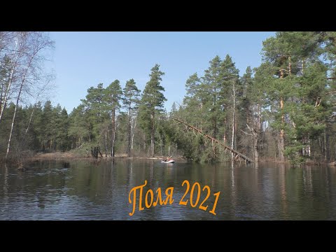 Видео: Сплав по реке Поля 2021