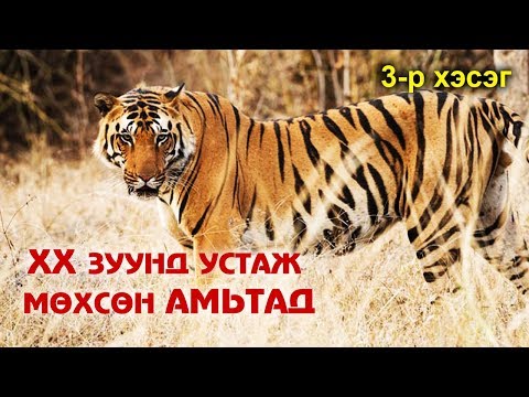 Видео: XX ЗУУНД УСТАЖ, МӨХСӨН АМЬТАД | Тарпан, Додо, Бар 🐎🦃🐅