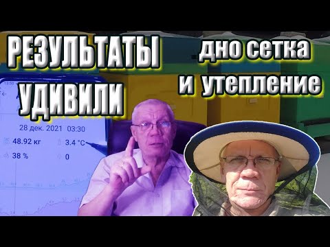 Видео: Что ВАЖНО для успешной зимовки пчел? Зимние эксперименты.