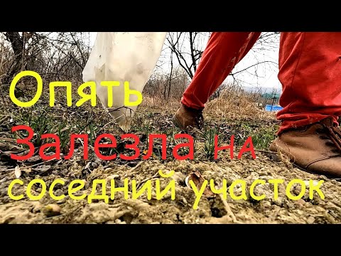 Видео: Опять залезла на соседний участок / Уборка по полной /  Больше туда заходить не хочется /