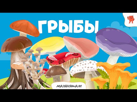 Видео: ГРЫБЫ | Бэйбус_малянятам