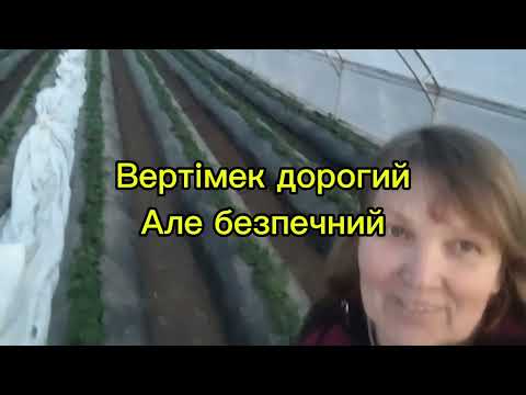 Видео: Обробки відкритого грунту