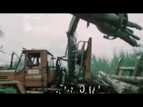 Видео: Лесосплав. Сортировочный коридор... 1987г.