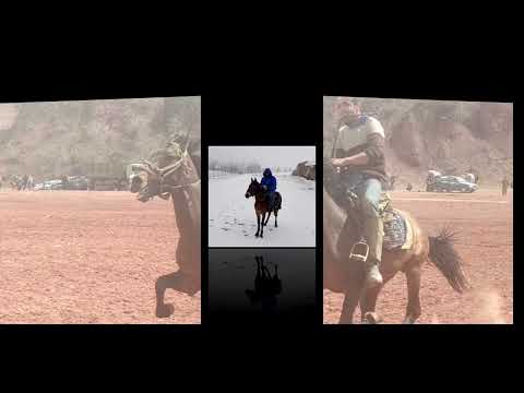 Видео: 🐴🐴Муло човандоз аз дехай нимич 🐴🐴