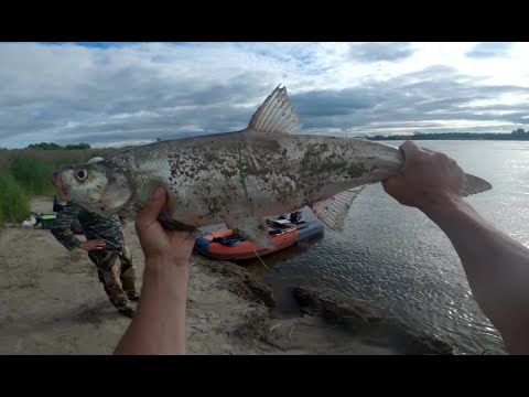 Видео: На разведку в новые места. Рыбачим на резинку.