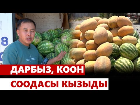 Видео: Дарбыз, коон соодасы кызыды