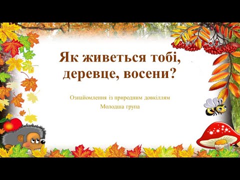 Видео: Відеозаняття з ознайомлення із природним довкіллям "Як живеться тобі, деревце, восени" Молодша група