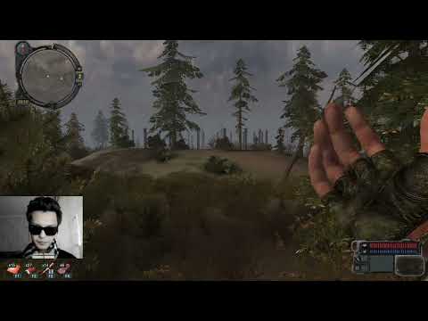 Видео: Про социофобию, одиночество, переживания | Cталкер: Зов Припяти (day 2)