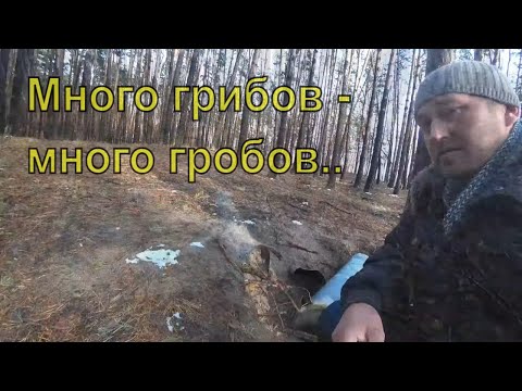 Видео: Собираю грибы под снегом. Страшные находки.