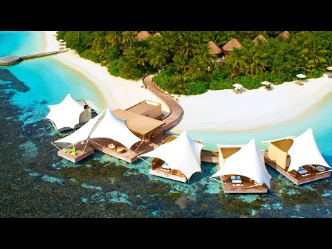 Видео: Красота домашнего рифа в отеле W Maldives