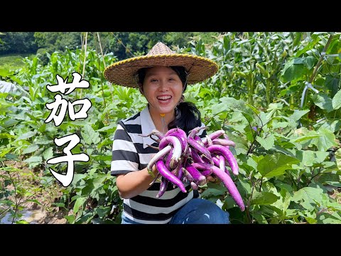 Видео: Как приготовить вкусные баклажаны? Два самых простых способа заставят вас съесть их быстро!