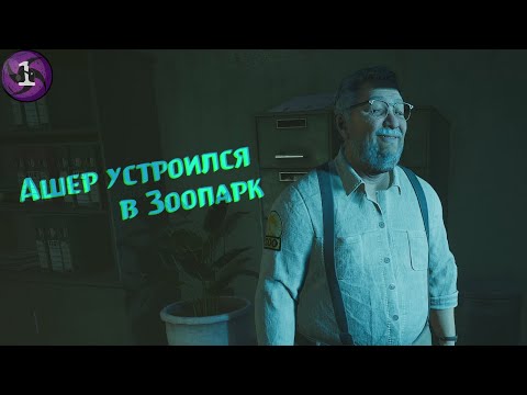Видео: Ашер устроился в Зоопарк - Zoochosis
