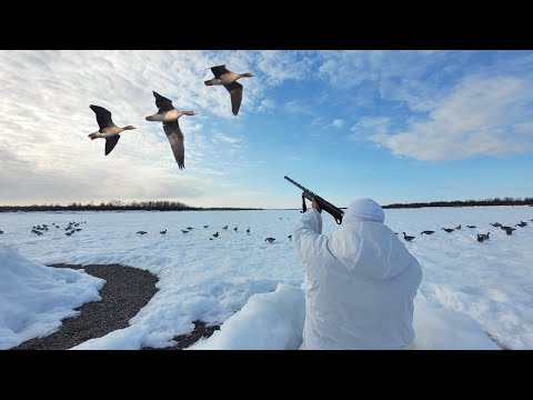 Видео: ОХОТА НА ГУСЯ НА КОЛЫМЕ 2023 ЧАСТЬ 2. GOOSE HUNTING IN SIBERIA 2. KOLYMA 2023  / GÄNSEJAGD IN KOLYMA