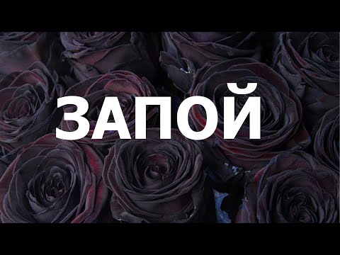 Видео: Людям в запое и на отходняке посвящается. Срыв... запой
