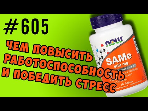 Видео: SAM БАД для работоспособности и настроения