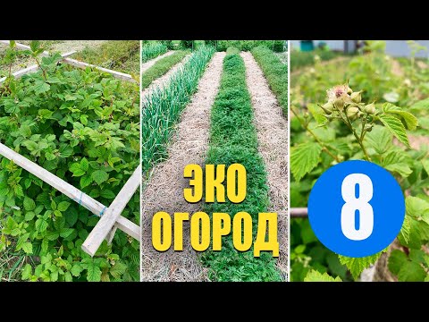 Видео: Умный Огород - 8. Начало нового сезона. Не Нужно Поливать и Пропалывать. Урожайный Огород