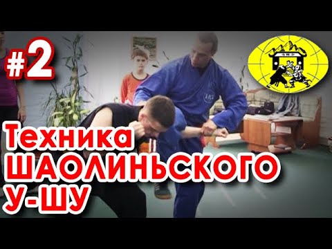 Видео: Техника Шаолиньского У-Шу - 2.