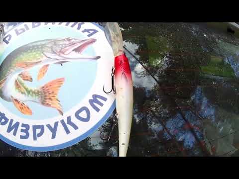 Видео: Сумозеро Карелия