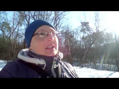 Видео: Прогулялась лісом і по фотографувала на фотостоки. Що я фотографувала на мікростоки в лісі.