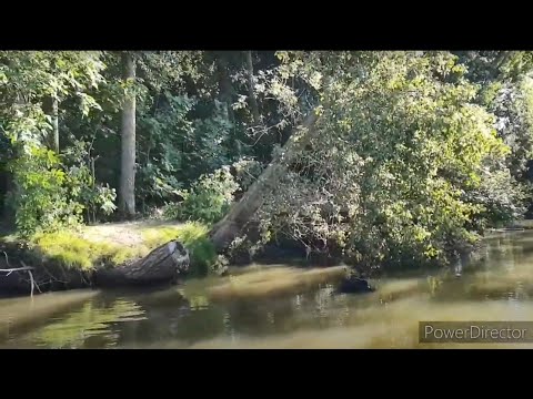 Видео: Водномоторный поход в дельту Волги