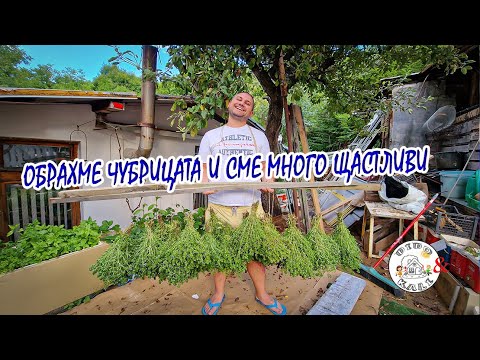 Видео: Живот на село: чубрицата ни е готова, ще има кюфтета