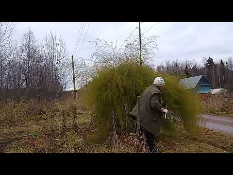 Видео: Завершающие огородные дела