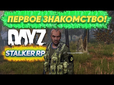 Видео: DayZ STALKER RP ПЕРВОЕ ЗНАКОМСТВО!