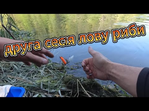 Видео: другой берег - 9#поход #рыбалка #фидер#fishing