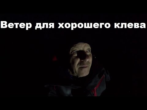 Видео: Ветер и давление для хорошего клева. Выйдет ли трофей....