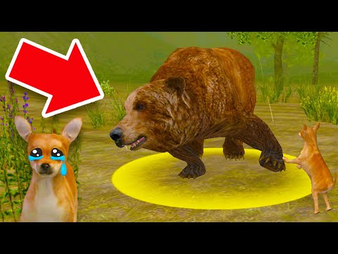 Видео: КАК ПОБЕДИТЬ ВСЕХ БОССОВ в игре Sim Dog или почти всех