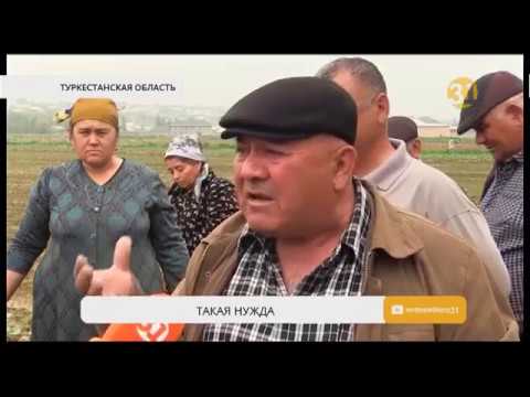 Видео: Почти две тысячи крестьянских хозяйств в Туркестанской области могут лишиться земель