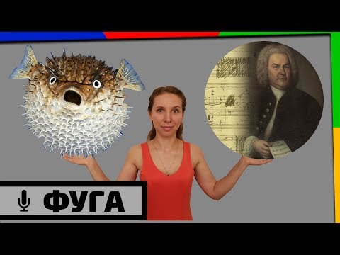 Видео: Что такое фуга?