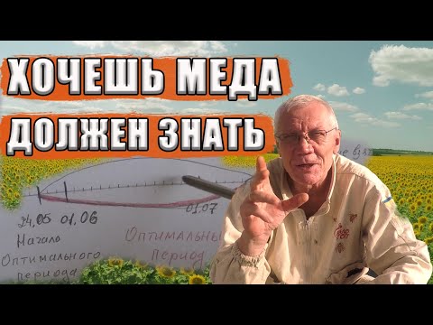 Видео: Как Определить оптимальный период развития пчелиных семей на главный взяток? Пчеловод обязан знать!