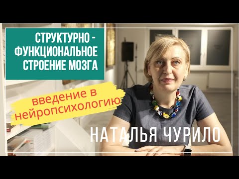 Видео: Лекция 1: Структурно-функциональное строение мозга | Введение в нейропсихологию. Наталья Чурило.