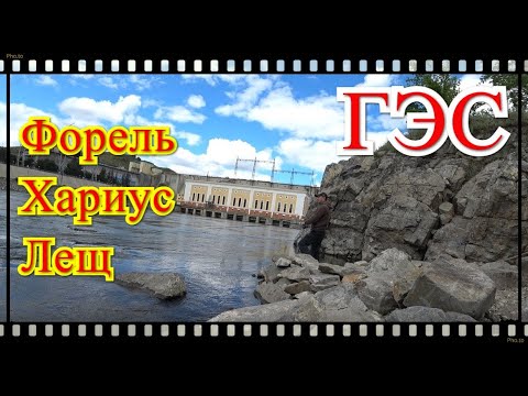 Видео: Рыбачим на Гидроэлектростанции. Форель/Хариус/Лещ