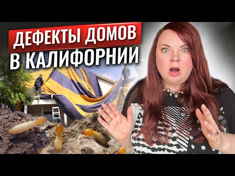 Видео: Дома в Калифорнии - что с ними не так⁉️ Объясняет 🔝 риэлтор Бэй Эрии