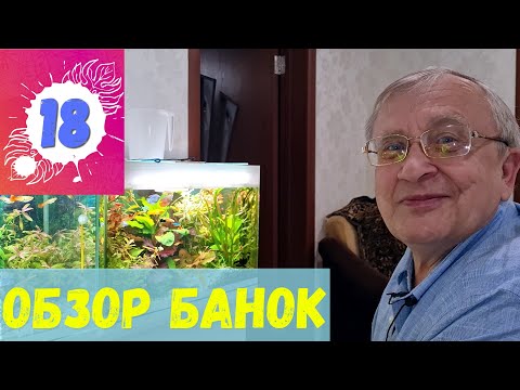 Видео: #18 Обзор банок и запуск новых рыбок / Аквариумистика с Геннадием Посейдонычем