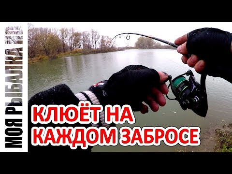 Видео: Джавастик косит всю рыбу | Первый снег | Ловим на отводной поводок | 2018