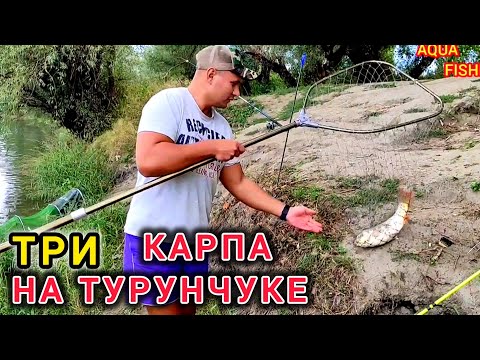 Видео: Карп и Карась  на Турунчуке. Карп, Карась на Силиконовую Кукурузу и Макушатник.