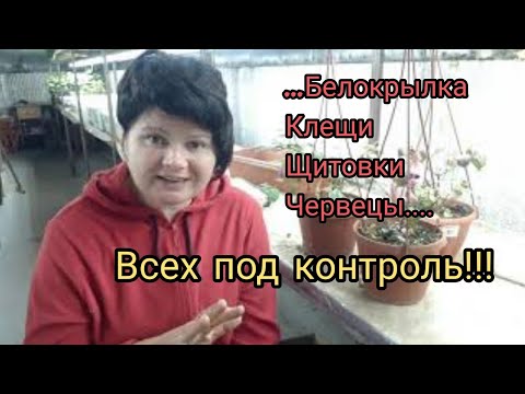 Видео: Никакой вредитель НЕ устоит перед СИСТЕМОЙ обработок...!