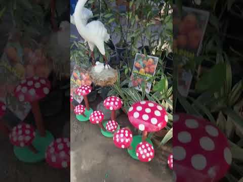 Видео: АНДИЖОН ЖАХОН БОЗОРИ ГУЛ БОЗОРИ ГУЛ ОЛАДИГАНЛАР УЧУН 94 437 08 80 ТЕЛ НОМЕР