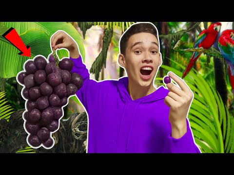 Видео: 20 СПОСОБОВ СЪЕСТЬ ВИНОГРАД !