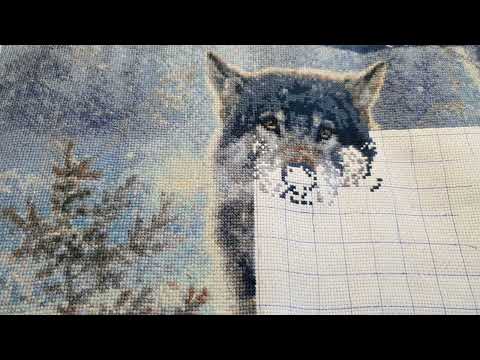 Видео: Вышивка и жизнь с 3 по 9 февраля 2025 г