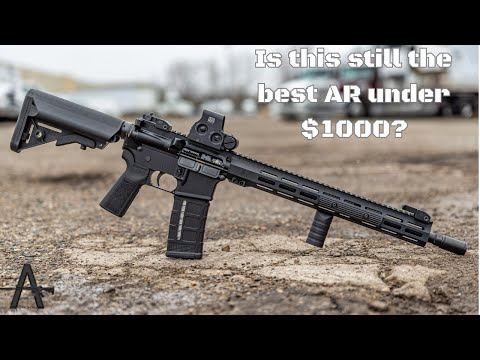 Видео: Стоит ли покупать Zion 15 после 1000 выстрелов?