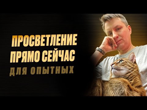 Видео: Что такое просветление | Встреча с практиками закрытой группы "Просветление и котики"
