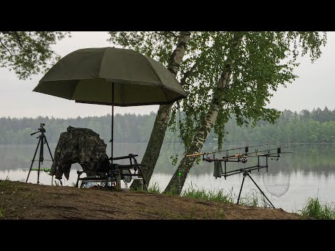 Видео: РЫБХОЗ ГЖЕЛКА. Ловля карпа и ночевка с полевой кухней