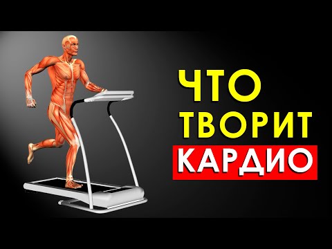 Видео: Что Произойдет с Телом, Если Делать Кардио Тренировки Каждый День