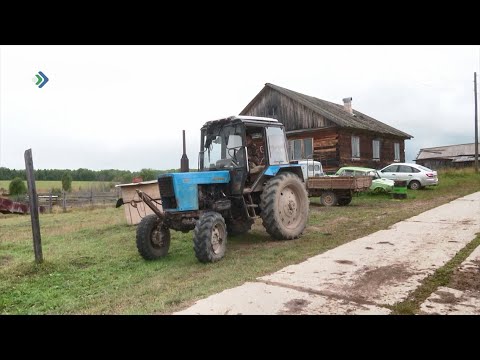 Видео: Один из самых смелых фермеров в Коми живет в деревне Верхолузье