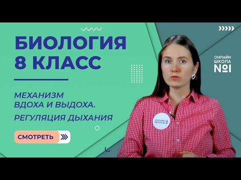 Видео: Механизм вдоха и выдоха. Регуляция дыхания. Видеоурок 19. Биология 8 класс